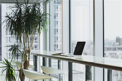 Stylish Office Design with Plant and Laptop