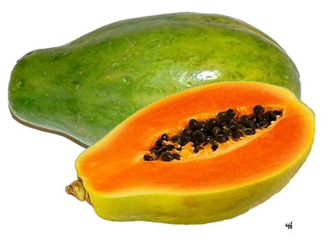 Papaya (Papaw)