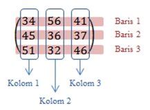 Pengertian Matriks, Ordo, Identitas, Jenis, dan Transpose Matriks