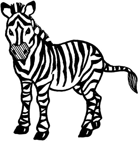 View Zebra Coloring Pages For Adults Gif - Coloring for kids