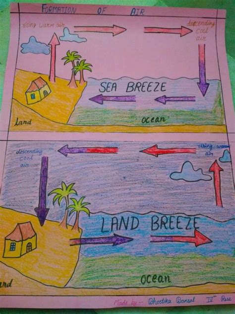 Formation of land Breeze and Sea Breeze | Science notes, Teaching science, School projects