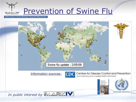 Prevention Of Swine Flu