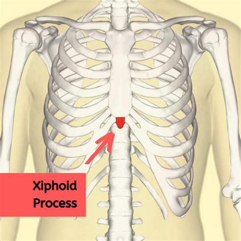 Where to Perform Chest Compressions during CPR – CPR Test