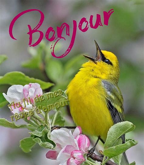 Bonjour images, photos et illustrations pour facebook (Page 6) - BonnesImages