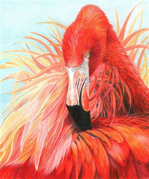 Red Flamingo | Flamingo art, Flamingo art print, Flamingo painting