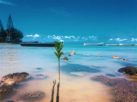 30 Best Things to Do in Mauritius (ATTRACTION GUIDE • 2024)