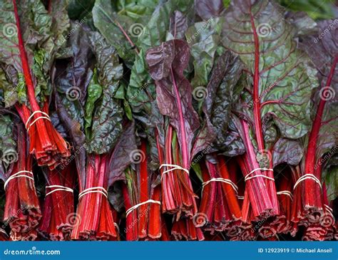 Red Shard stock image. Image of food, leafy, market, dinner - 12923919