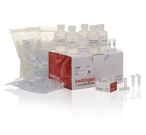 Genomic Dna Extraction Kit at Rs 6500 | Swami Vivekanand Nagar ...