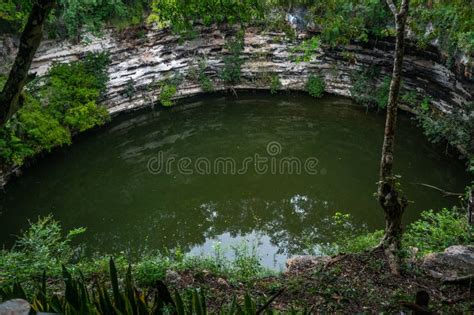 Water Falling from the Waterfalls of the Subway Cenote in the Mayan Jungle of the Yucatan ...