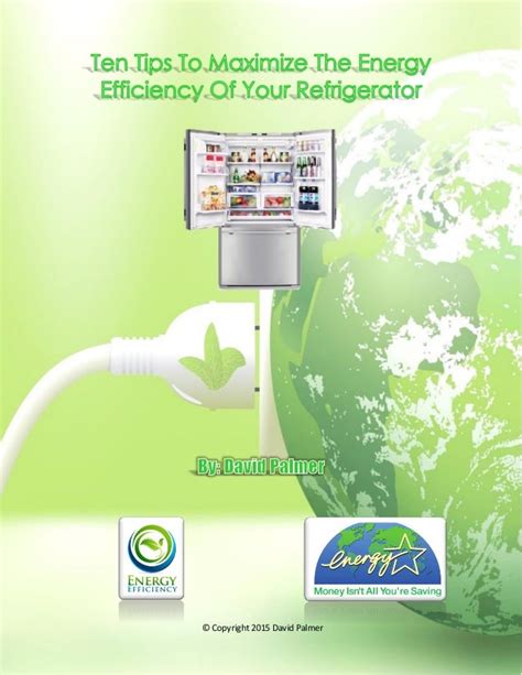 Maximize the Energy Efficiency of your Refrigerator