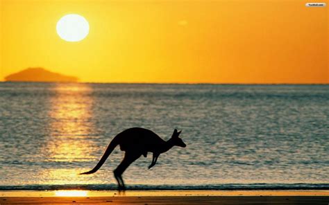 Australia Beach Wallpapers - Wallpaper Cave