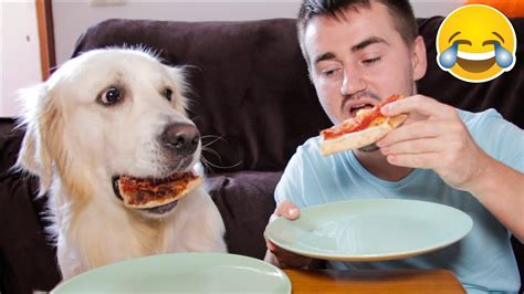 Super Funny Pizza Eating with My Cute Dog Bailey [Try Not To Smile ...