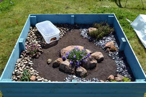 Hermie's New Outdoor Enclosure - Outdoor Enclosures - Tortoise Forum