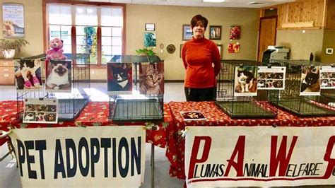 PAWS hosts pet adoption - Plumas News