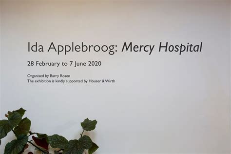 Ida Applebroog: Mercy Hospital | Freud Museum London