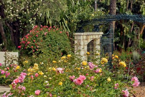 The Most Beautiful Monaco Gardens You Shouldn't Miss