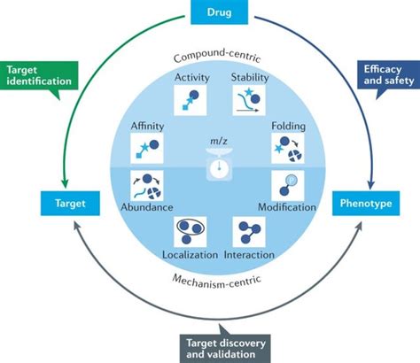 The emerging role of mass spectrometry-based proteomics in drug discovery : r/proteomics