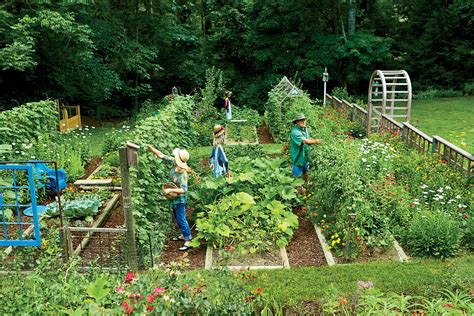 Steal These Secrets for Growing Your Own Veggie Patch | Backyard vegetable gardens, Veggie patch ...