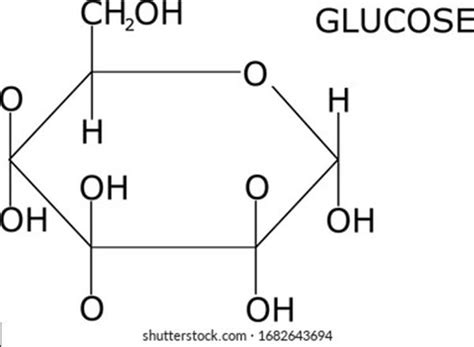 Molecular Diagram Of Glucose – Industries Wiring Diagram