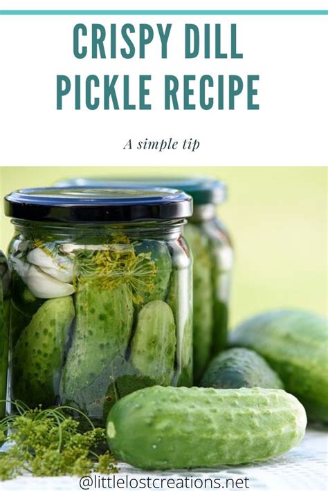 LittleLostCreations - Etsy | Recipe | Pickling recipes, Dill pickle recipe, Crispy dill pickle ...