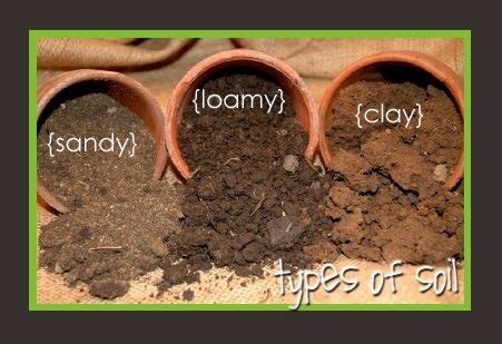 Soil Texture Experiment - AP ENVIRONmenTAL SCIENCE