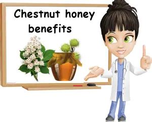 Properties and Benefits of Chestnut Honey - NatureWord