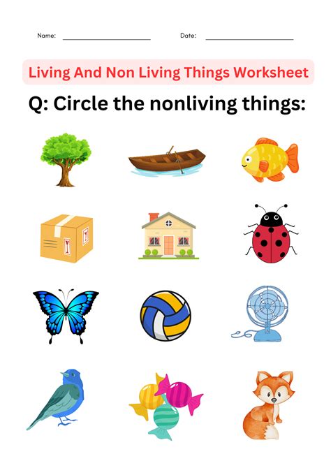 science living and non living things worksheet for grade 1, 2, 3, 4 ...