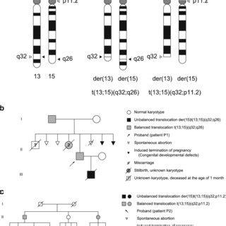 a Ideograms (G-banding) of normal and rearranged chromosomes 13, 15... | Download Scientific Diagram