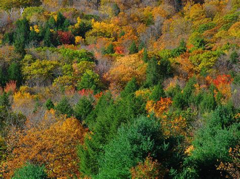 Berkshires Fall Foliage by Juergen Roth