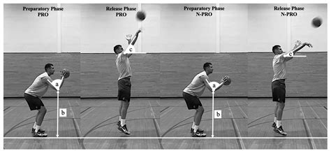 Sports | Free Full-Text | Kinetic and Kinematic Characteristics of Proficient and Non-Proficient ...