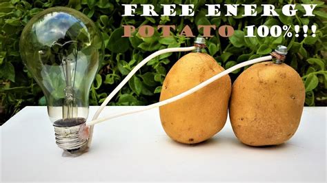 Free Energy Light Bulbs - 220v using Potato - YouTube