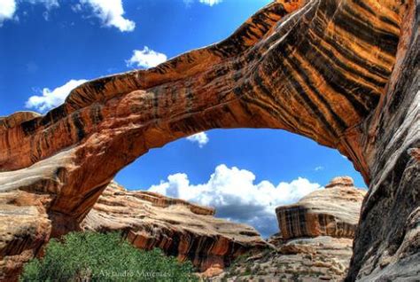 Park History: Natural Bridges National Monument | National Parks Traveler