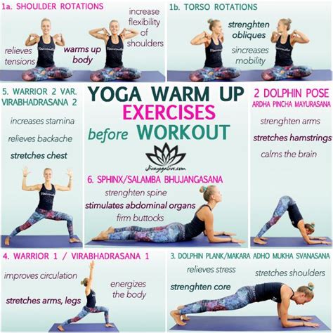 Yoga warm up exercises before workout | Beginner yoga workout, Yoga ...