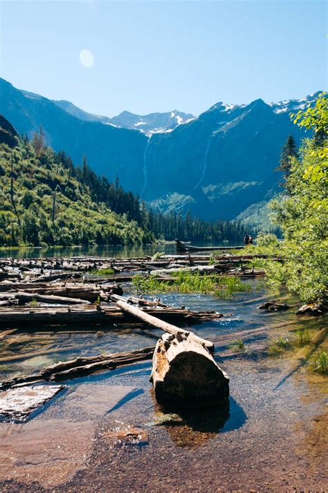 How to Hike to Avalanche Lake in Glacier National Park (+ The Trail of ...