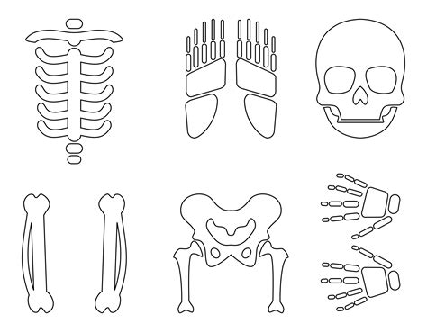 Skeleton Cut Out Printable