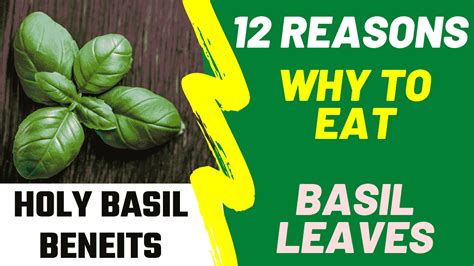 health benefits of basil Archives - 5 Minute Home Remedies