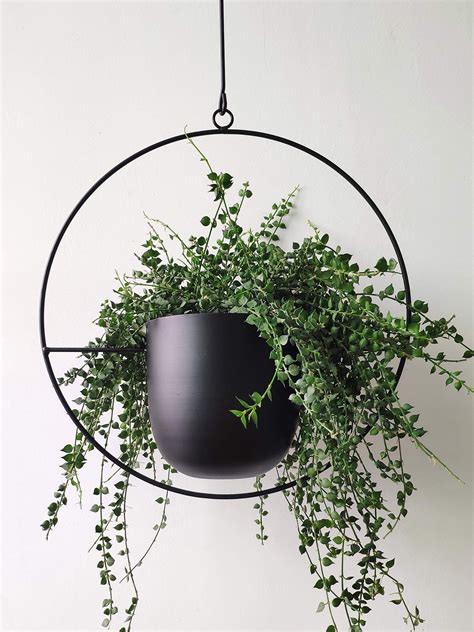 RISEON Boho Black Metal Plant Hanger,Metal Wall and Ceiling Hanging ...