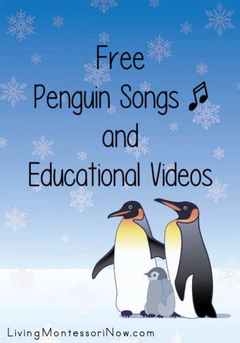 Free Penguin Songs and Educational Videos - Living Montessori Now