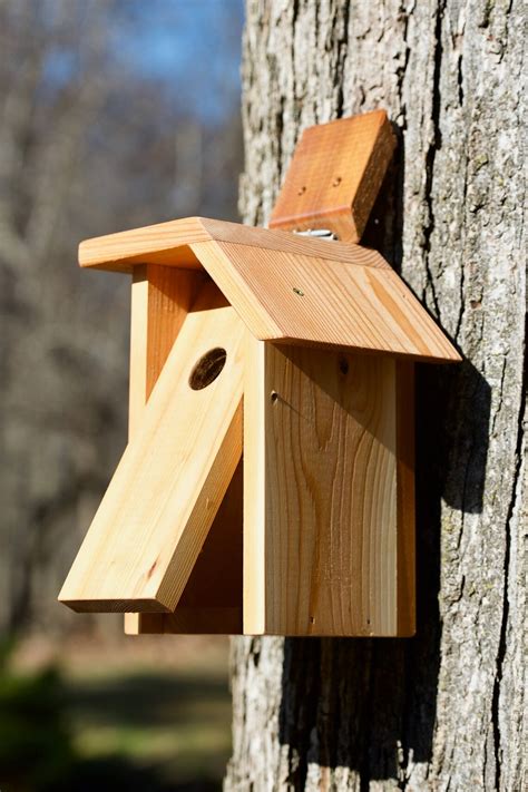 White-breasted Nuthatch Cedar Bird House | Etsy