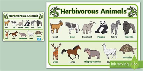 FREE! - Plant Eating Animals Chart - Display Posters - Resources