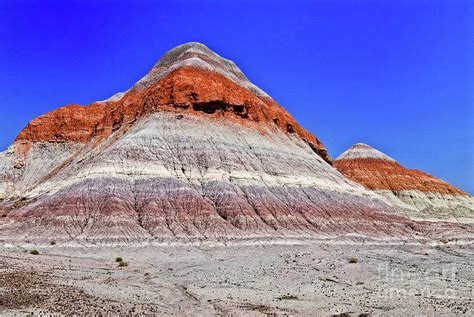 Painted Desert National Park Photograph by Bob and Nadine Johnston - Pixels