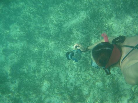 Extreme Shallow Snorkeling at Love Beach - Nassau, Bahamas… | Flickr