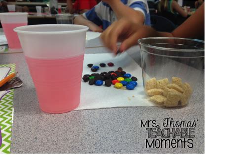 Mixtures and Solutions Experiment | Solutions and mixtures, Experiments ...