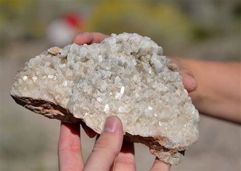 A school of fish: Calcite Mine Field Trip