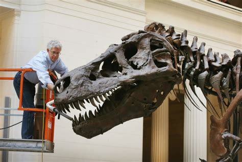 T-Rex Skeleton from 67 million years ago sells for over $6 million ...