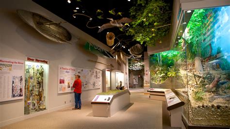 Illinois State Museum, Springfield Vacation Rentals: house rentals & more | Vrbo