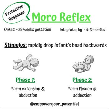 Moro Reflex - PDF Poster by Empower your pOTential | TPT