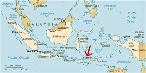 Konsep Top Flores Indonesia Map, Ide Spesial!