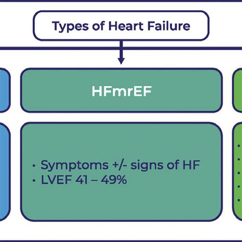 Illustration of the many faces of the HFpEF phenotype reflecting ...