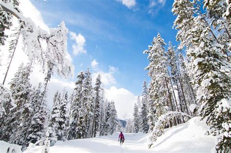 Winter In Idaho - Visit Idaho | American road trip, Vacation trips, Scenic byway